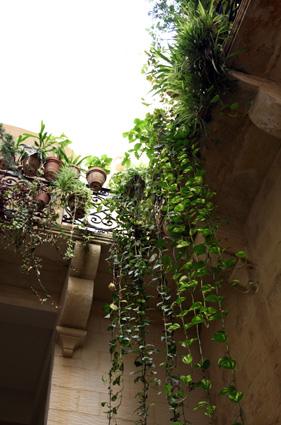 LivingInValletta.com Image