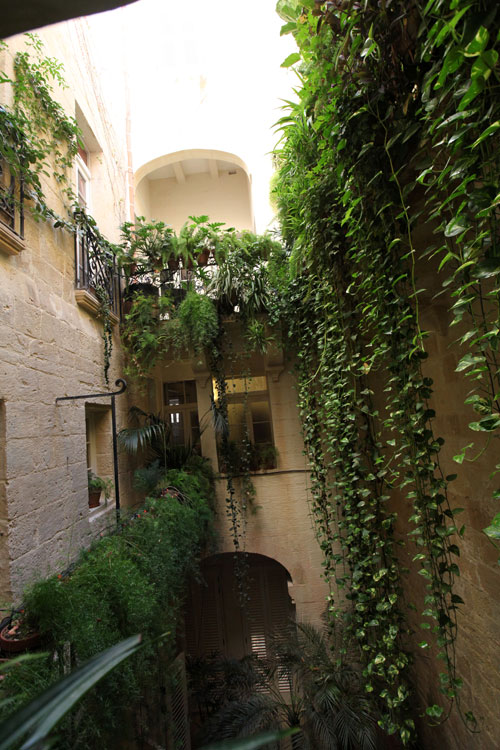 LivingInValletta.com Image